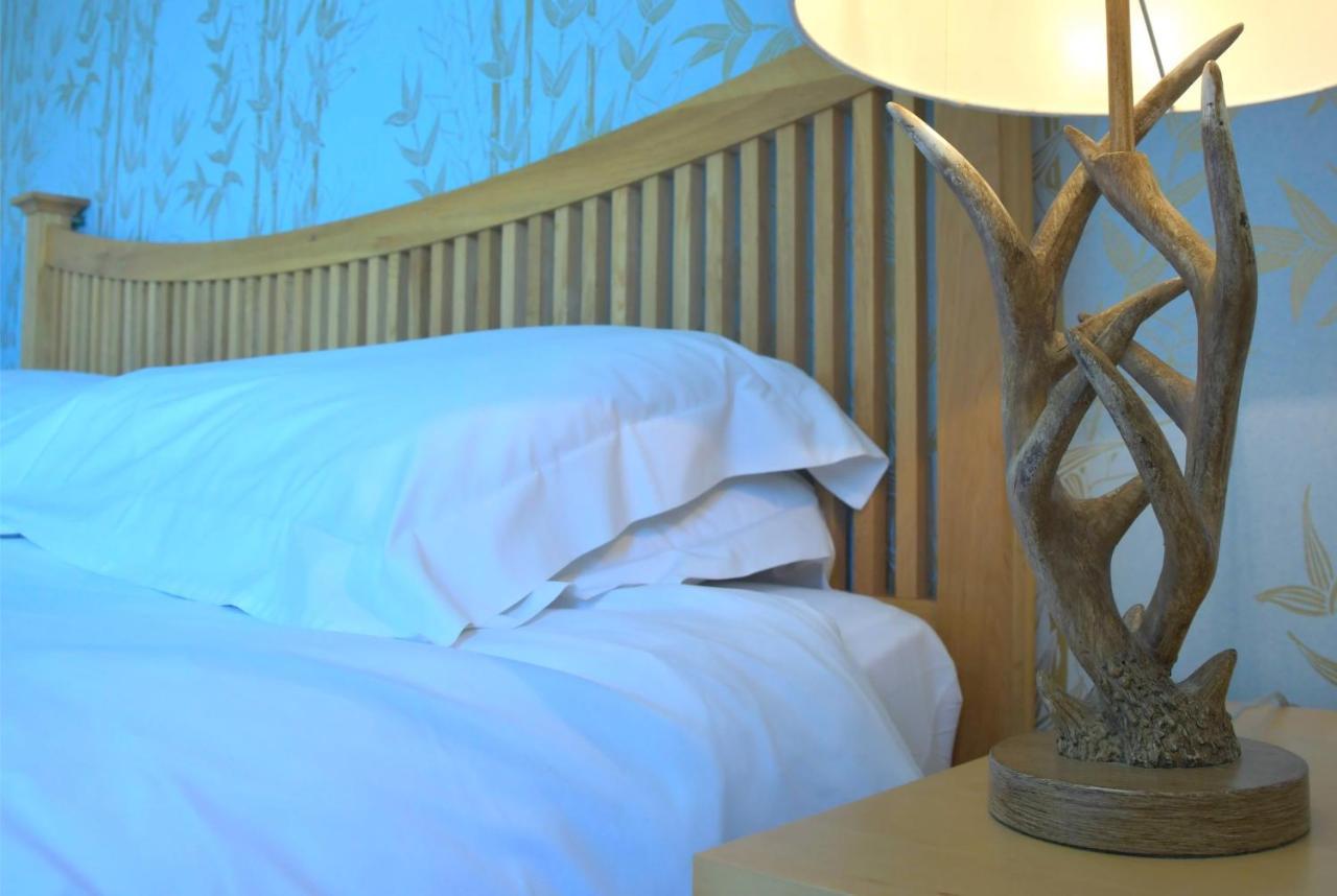 No12 Bed And Breakfast, Сейнт Андрюс Екстериор снимка